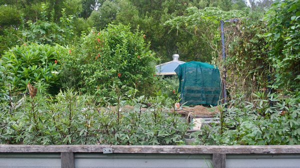 Quels sont les avantages de la permaculture en milieu urbain pour la sécurité alimentaire ?