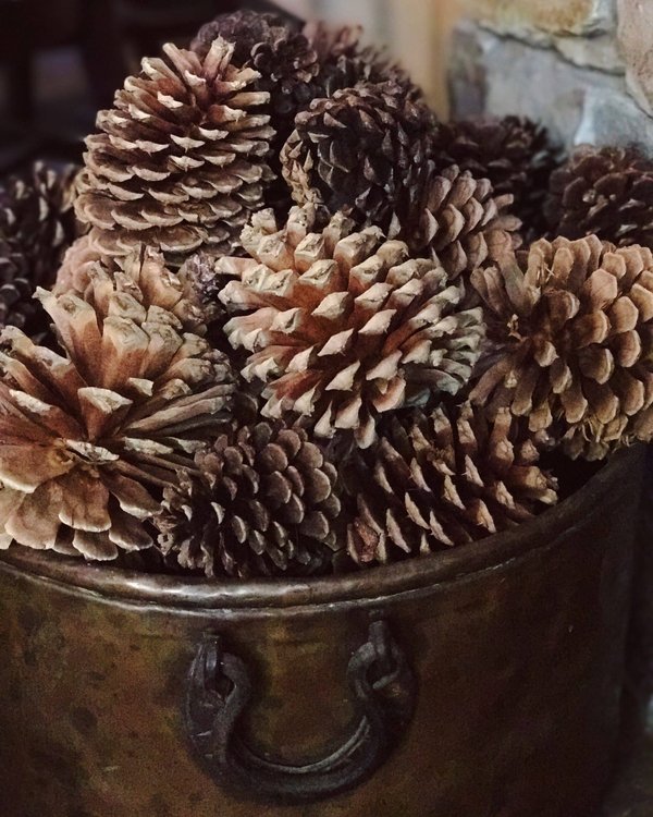 Comment mettre en place un ciné-club éducatif pour les adolescents ?